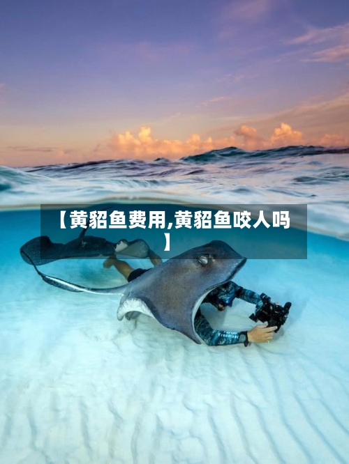 【黄貂鱼费用,黄貂鱼咬人吗】-第2张图片