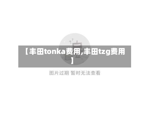 【丰田tonka费用,丰田tzg费用】-第2张图片