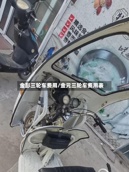 金彭三轮车费用/金元三轮车费用表-第2张图片