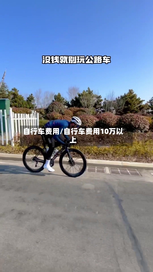 自行车费用/自行车费用10万以上