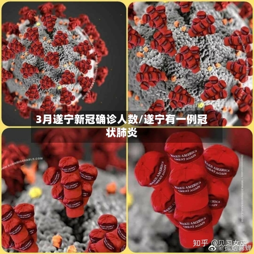 3月遂宁新冠确诊人数/遂宁有一例冠状肺炎-第3张图片