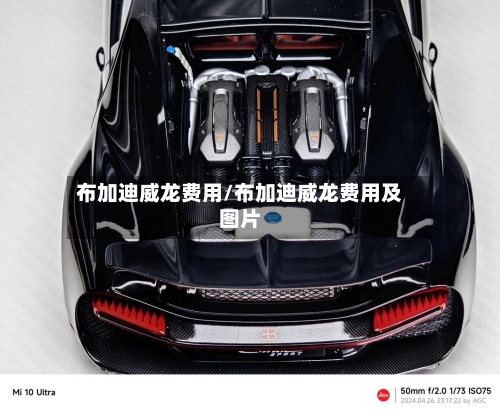 布加迪威龙费用/布加迪威龙费用及图片