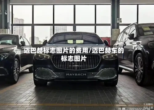 迈巴赫标志图片的费用/迈巴赫车的标志图片-第2张图片