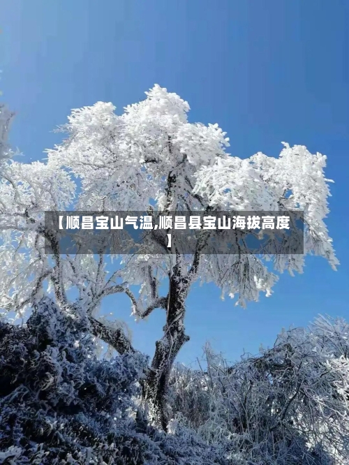 【顺昌宝山气温,顺昌县宝山海拔高度】