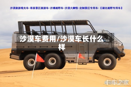 沙漠车费用/沙漠车长什么样