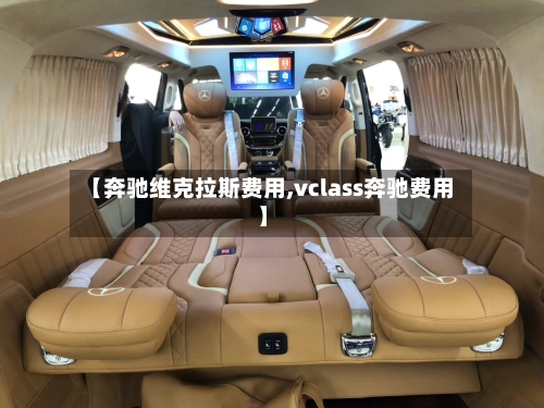 【奔驰维克拉斯费用,vclass奔驰费用】-第3张图片