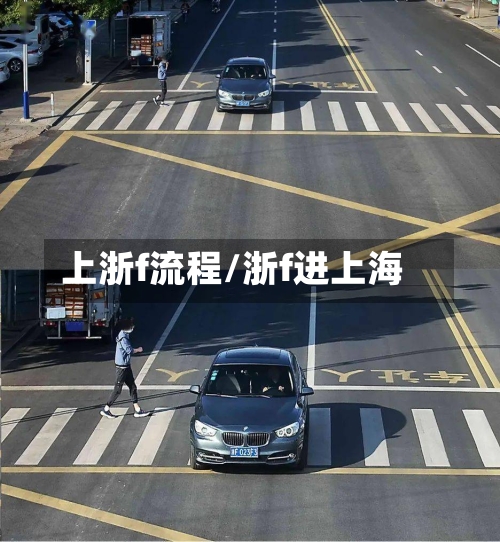 上浙f流程/浙f进上海