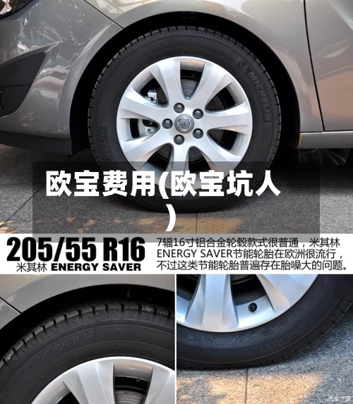 欧宝费用(欧宝坑人)-第3张图片