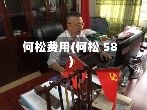 何松费用(何松 58)