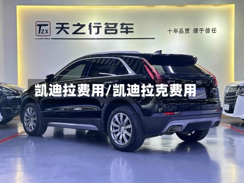 凯迪拉费用/凯迪拉克费用-第2张图片
