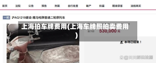 上海拍车牌费用(上海车牌照拍卖费用)-第2张图片
