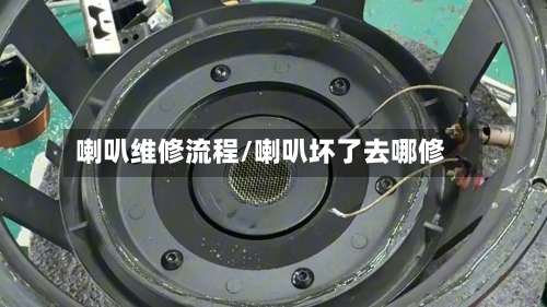 喇叭维修流程/喇叭坏了去哪修