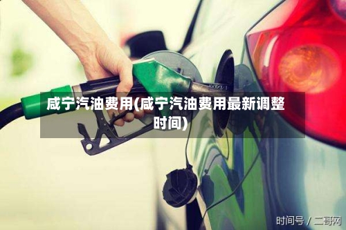 咸宁汽油费用(咸宁汽油费用最新调整时间)-第3张图片