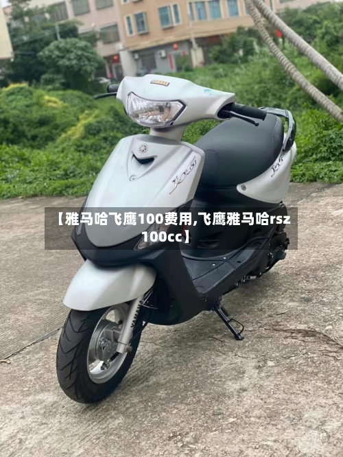 【雅马哈飞鹰100费用,飞鹰雅马哈rsz100cc】
