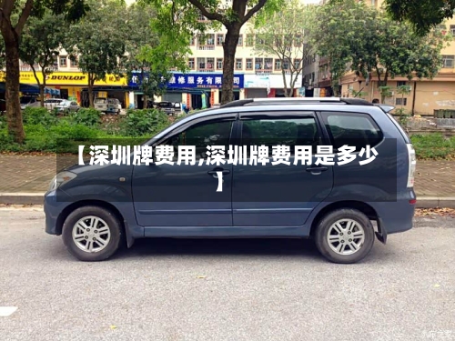 【深圳牌费用,深圳牌费用是多少】-第3张图片