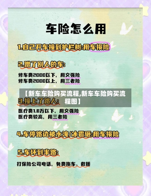【新车车险购买流程,新车车险购买流程图】
