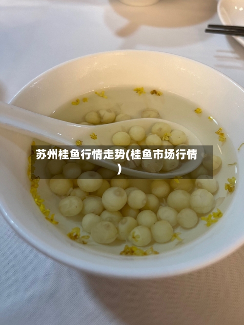 苏州桂鱼行情走势(桂鱼市场行情)