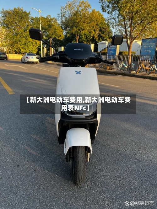 【新大洲电动车费用,新大洲电动车费用表NFc】