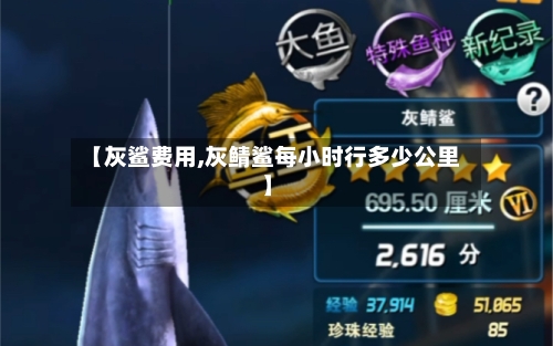 【灰鲨费用,灰鲭鲨每小时行多少公里】