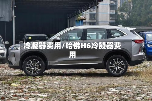 冷凝器费用/哈佛H6冷凝器费用
