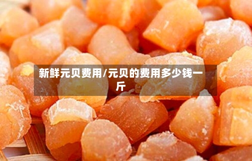 新鲜元贝费用/元贝的费用多少钱一斤