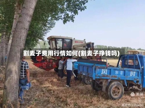 割麦子费用行情如何(割麦子挣钱吗)-第3张图片