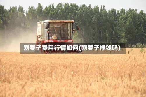 割麦子费用行情如何(割麦子挣钱吗)-第2张图片