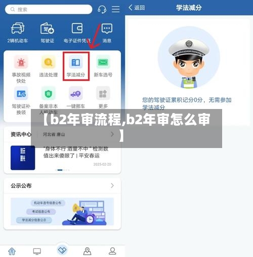 【b2年审流程,b2年审怎么审】