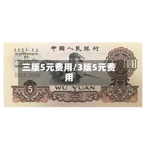 三版5元费用/3版5元费用-第3张图片