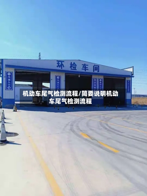 机动车尾气检测流程/简要说明机动车尾气检测流程