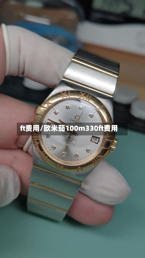 ft费用/欧米茄100m330ft费用