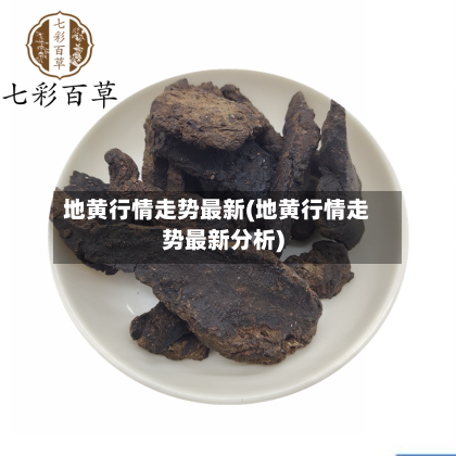 地黄行情走势最新(地黄行情走势最新分析)