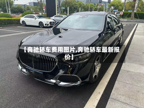 【奔驰轿车费用图片,奔驰轿车最新报价】-第2张图片