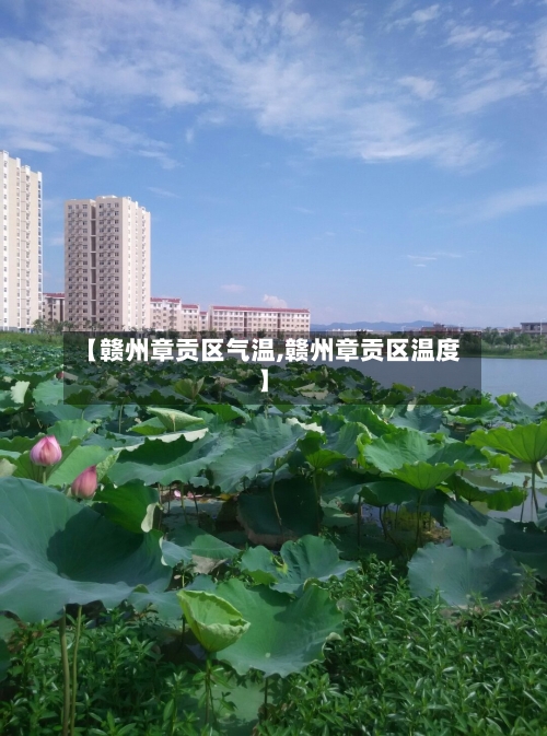 【赣州章贡区气温,赣州章贡区温度】-第3张图片