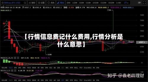 【行情信息费记什么费用,行情分析是什么意思】