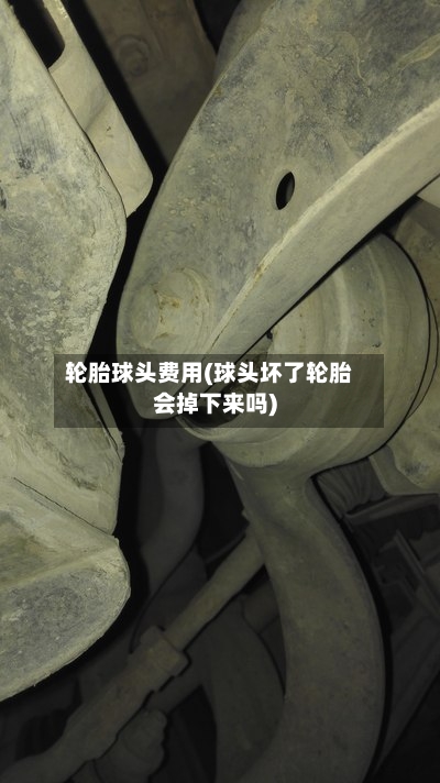轮胎球头费用(球头坏了轮胎会掉下来吗)-第2张图片