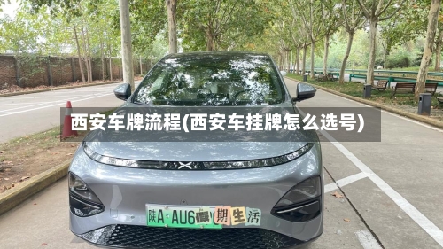 西安车牌流程(西安车挂牌怎么选号)