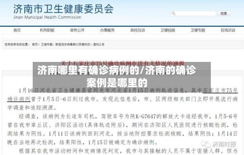 济南哪里有确诊病例的/济南的确诊案例是哪里的-第2张图片