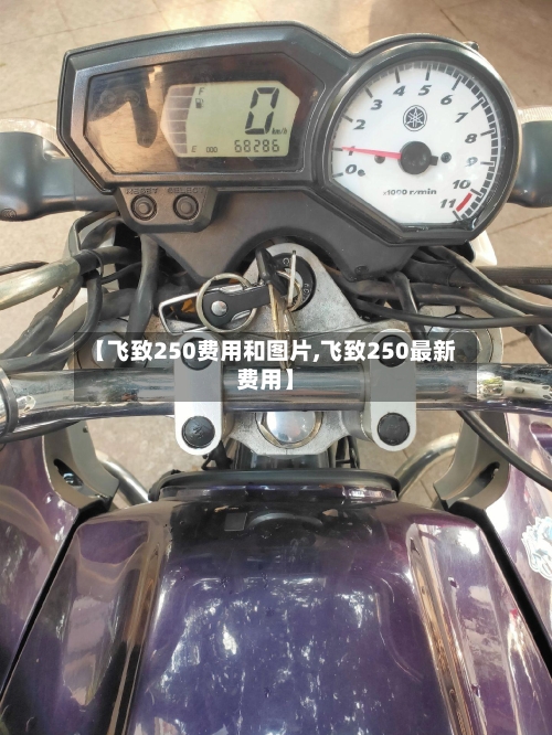 【飞致250费用和图片,飞致250最新费用】-第3张图片