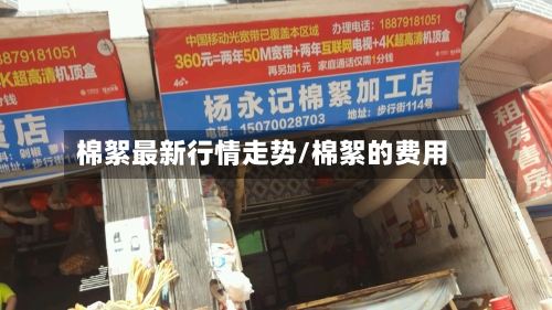 棉絮最新行情走势/棉絮的费用-第3张图片