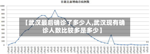 【武汉最后确诊了多少人,武汉现有确诊人数比较多是多少】