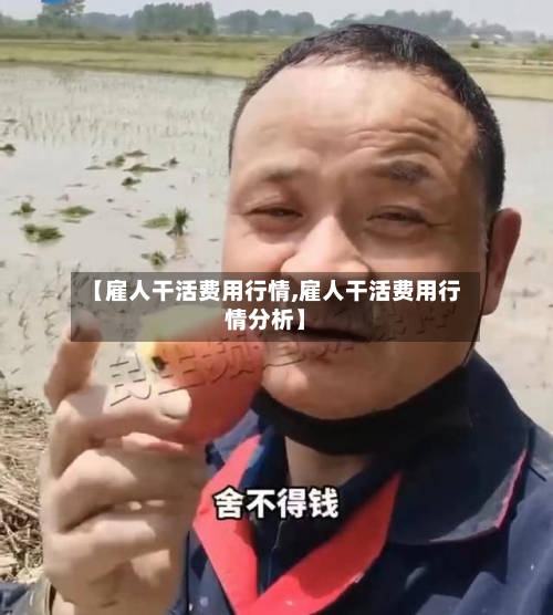 【雇人干活费用行情,雇人干活费用行情分析】