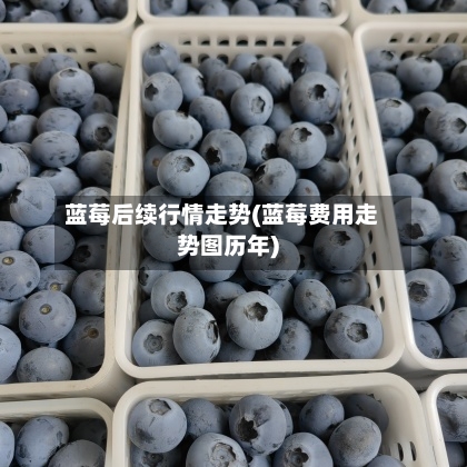 蓝莓后续行情走势(蓝莓费用走势图历年)