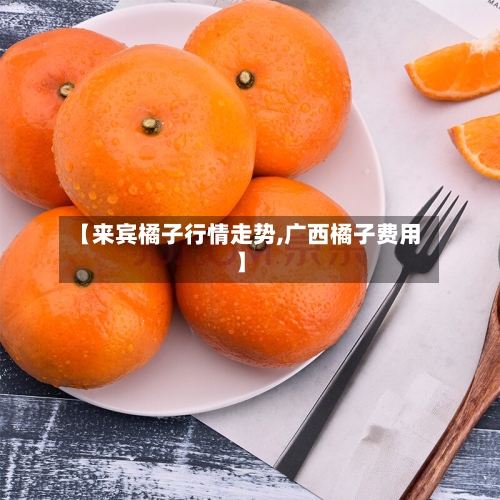 【来宾橘子行情走势,广西橘子费用】-第2张图片