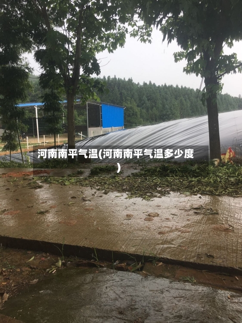 河南南平气温(河南南平气温多少度)-第2张图片