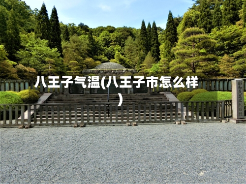 八王子气温(八王子市怎么样)