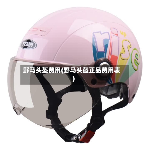 野马头盔费用(野马头盔正品费用表)