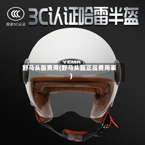 野马头盔费用(野马头盔正品费用表)-第2张图片