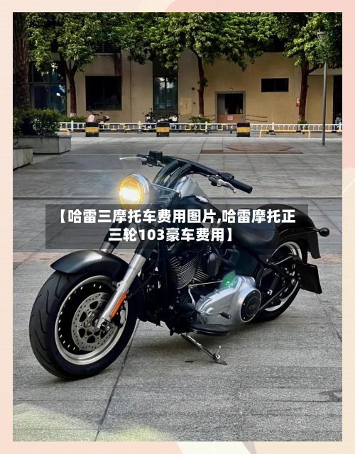 【哈雷三摩托车费用图片,哈雷摩托正三轮103豪车费用】-第2张图片