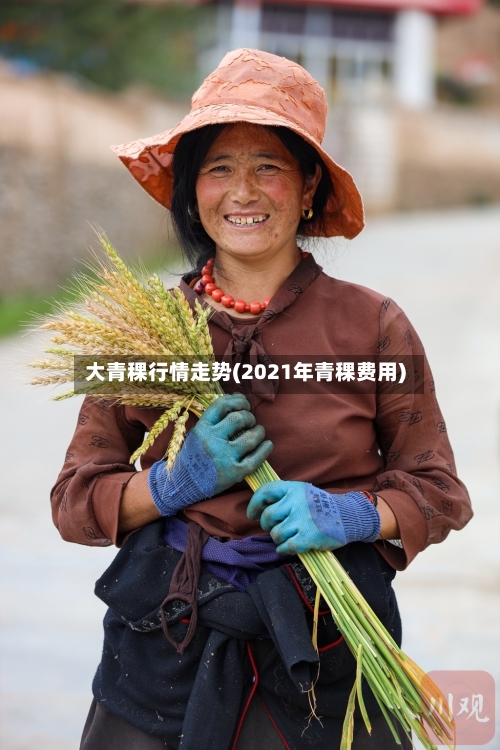 大青稞行情走势(2021年青稞费用)